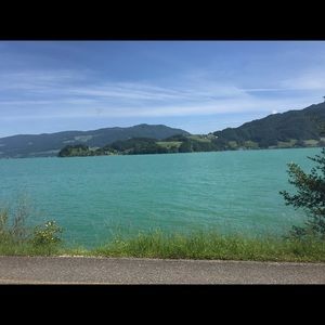 Meet your Posher, Bernadette